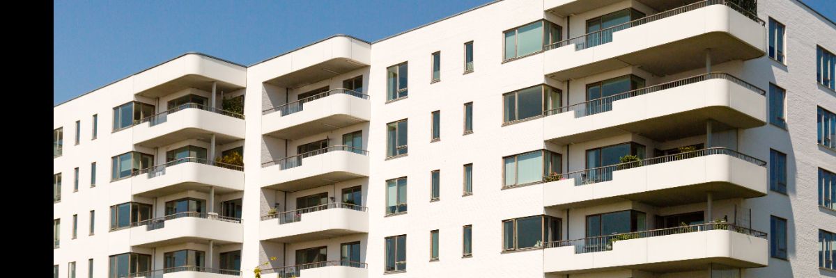 petite-annonce-particuliers.fr
